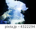 水の中３