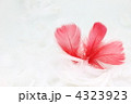 赤い羽根