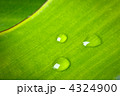 4324900