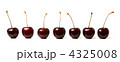 4325008