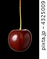 4325009
