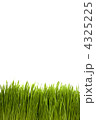 4325225