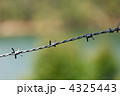 4325443