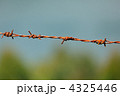 4325446