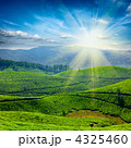 4325460