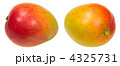 4325731