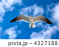 4327188