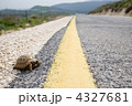 4327681
