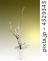 ヤマザクラ 花 桜