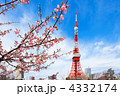 芝公園の咲き初めの河津桜と東京タワーと青空