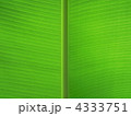 4333751
