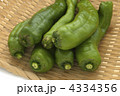 ししとう
