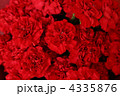 4335876