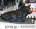 亀戸天満宮の神牛