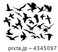 4345097