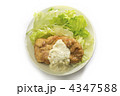 チキン南蛮　宮崎