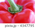 パプリカ