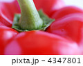 パプリカ