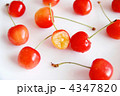 さくらんぼ
