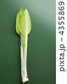 4355869