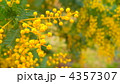 Tiny little flowers.