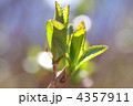 4357911