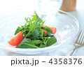サラダ