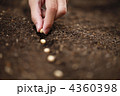 4360398
