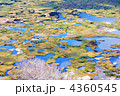 イースター島