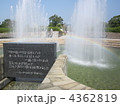 4362819