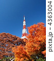 紅葉と東京タワー