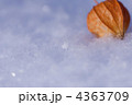 ホオズキと雪の結晶