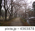 小雪の大覚寺一本道