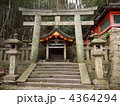 4364294