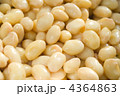 大豆の水煮