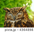 笑福