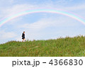 高校生と虹
