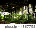 植物園と化した造船所跡地
