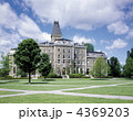 コーネル大学