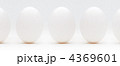 タマゴ