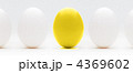 金のタマゴ