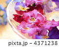 パンジーのアレンジメント