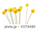 4374480