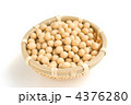 大豆