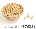 大豆