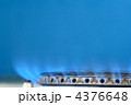 4376648