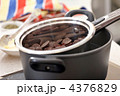 4376829