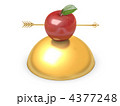 4377248