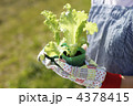 4378415