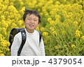 ランドセル